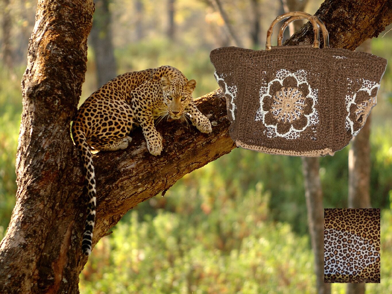 sac Savane